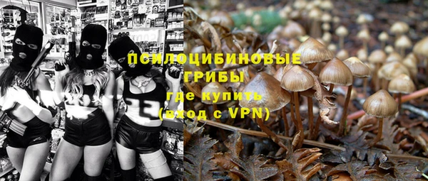 винт Алексеевка