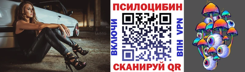 Псилоцибиновые грибы Psilocybe  Кола 